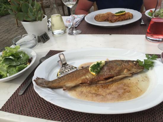 Restaurant Zur Alten Muhle