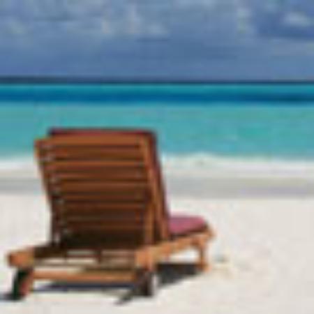 Le Temps D'une Pause