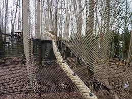 Fraxinus Aventure