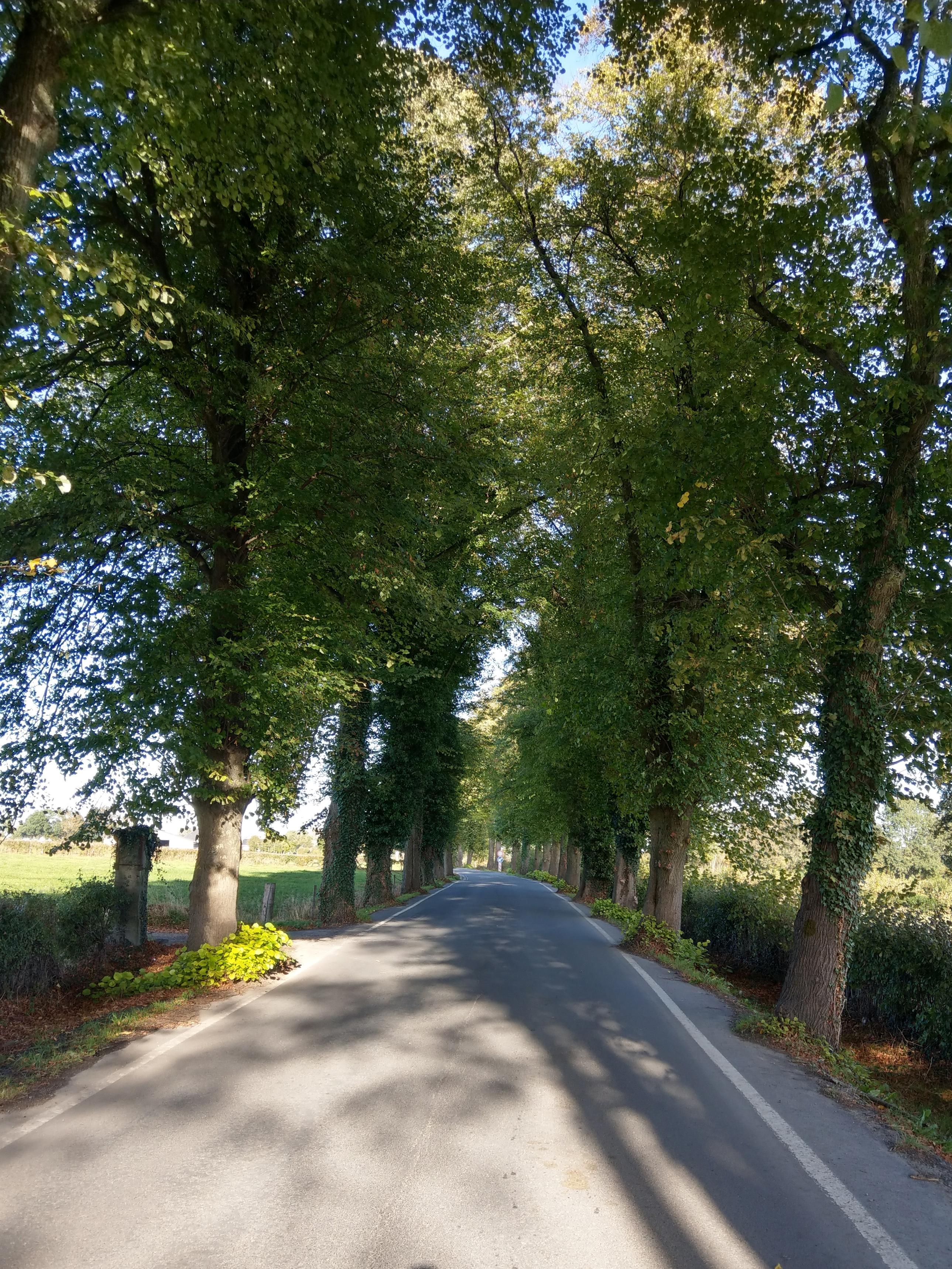 Hochstraße