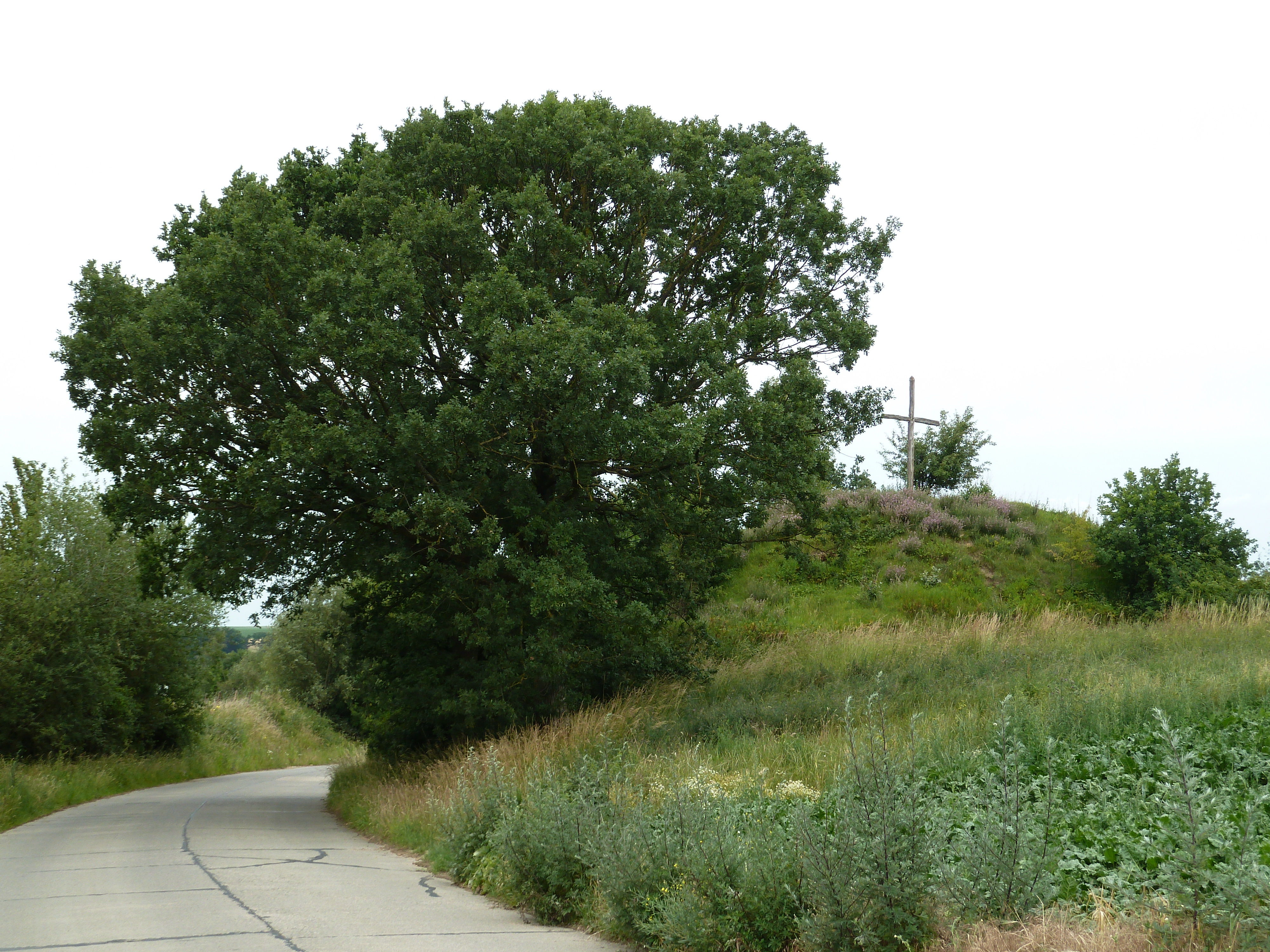 Tumulus van Emael