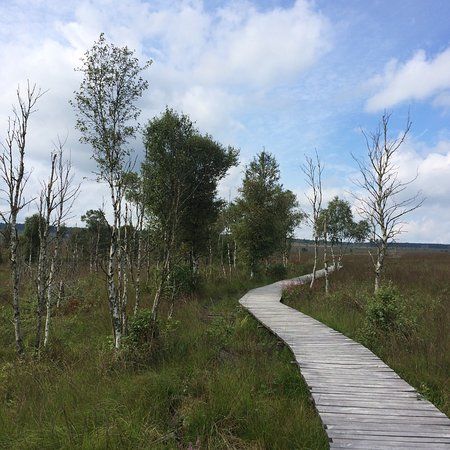 Natuurparkcentrum Botrange
